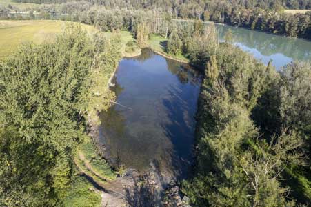 Fischrettung am Altwasser Heuwinkel