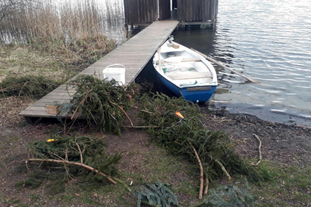 Zandernester im Hofstätter See